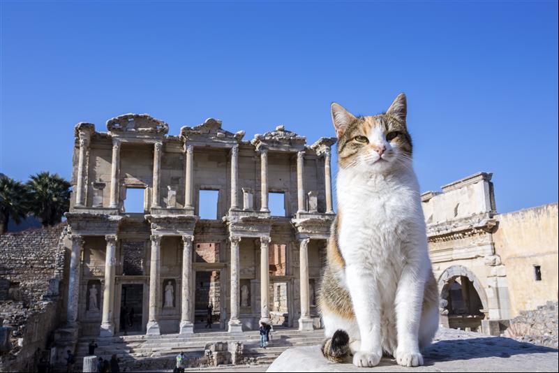 8 Days Turkey Tour 8 Days Turkey Tour — Photo Gallery 5